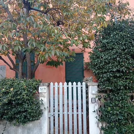 Maioliche Cozy Daire